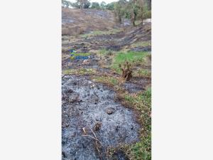 Terreno en venta en Miguel Hidalgo, Poza Rica de Hidalgo — foto 2 de 9