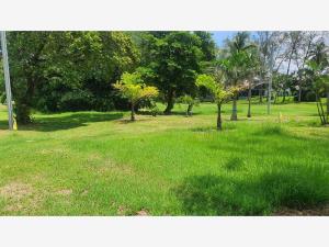 Terreno en venta en Club de Golf Villa Rica, Alvarado — foto 3 de 18