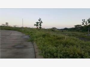Terreno en venta en Real Mandinga, Alvarado — foto 3 de 4