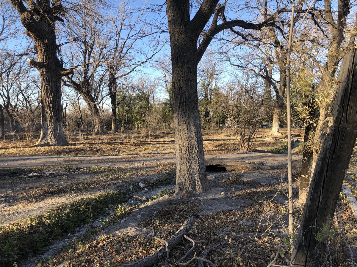 Terreno en venta en Parras de la Fuente Centro, Parras — foto 1 de 14