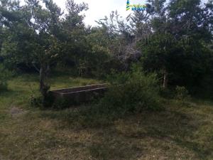 Terreno en venta en Tamiahua, Tamiahua — foto 3 de 12