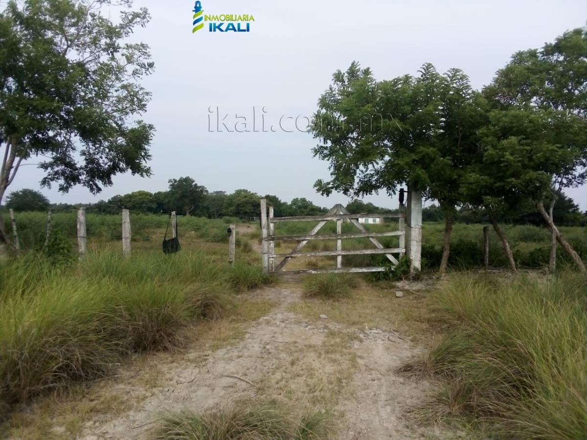 Terreno en venta en Tamiahua, Tamiahua — foto 1 de 12
