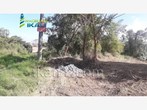 Terreno en venta en Yanga, Poza Rica de Hidalgo — foto 2 de 7
