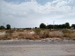 Terreno en venta en Nuevo Mieleras (La Tres), Torreón — foto 3 de 6