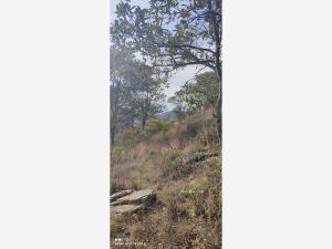 Terreno en venta en Chitejé de la Cruz, Amealco de Bonfil — foto 3 de 21
