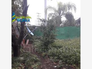 Terreno en renta en Palma Sola, Poza Rica de Hidalgo — foto 3 de 13