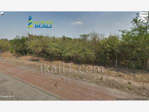 Terreno en venta en Veinte de Noviembre de Medellín de Bravo, Medellín de Bravo — foto 3 de 10