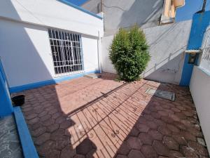 Casa en renta en Antonio Osorio de León (Bojay), Atitalaquia — foto 3 de 18