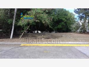 Terreno en venta en A I M P, Poza Rica de Hidalgo — foto 2 de 8