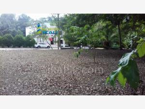 Terreno en venta en A I M P, Poza Rica de Hidalgo — foto 3 de 8