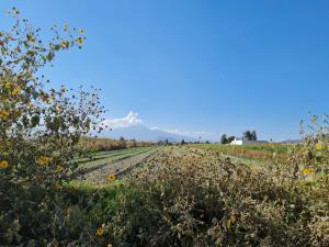 Terreno en Santa María Tonantzintla, San Andrés Cholula, Puebla