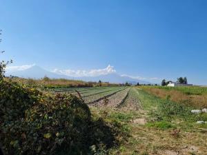 Terreno en venta en Santa María Tonantzintla, San Andrés Cholula — foto 3 de 7