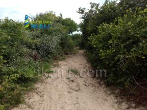 Terreno en venta en Palo Blanco, Tamiahua — foto 2 de 8