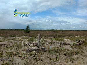 Terreno en venta en Palo Blanco, Tamiahua — foto 3 de 8