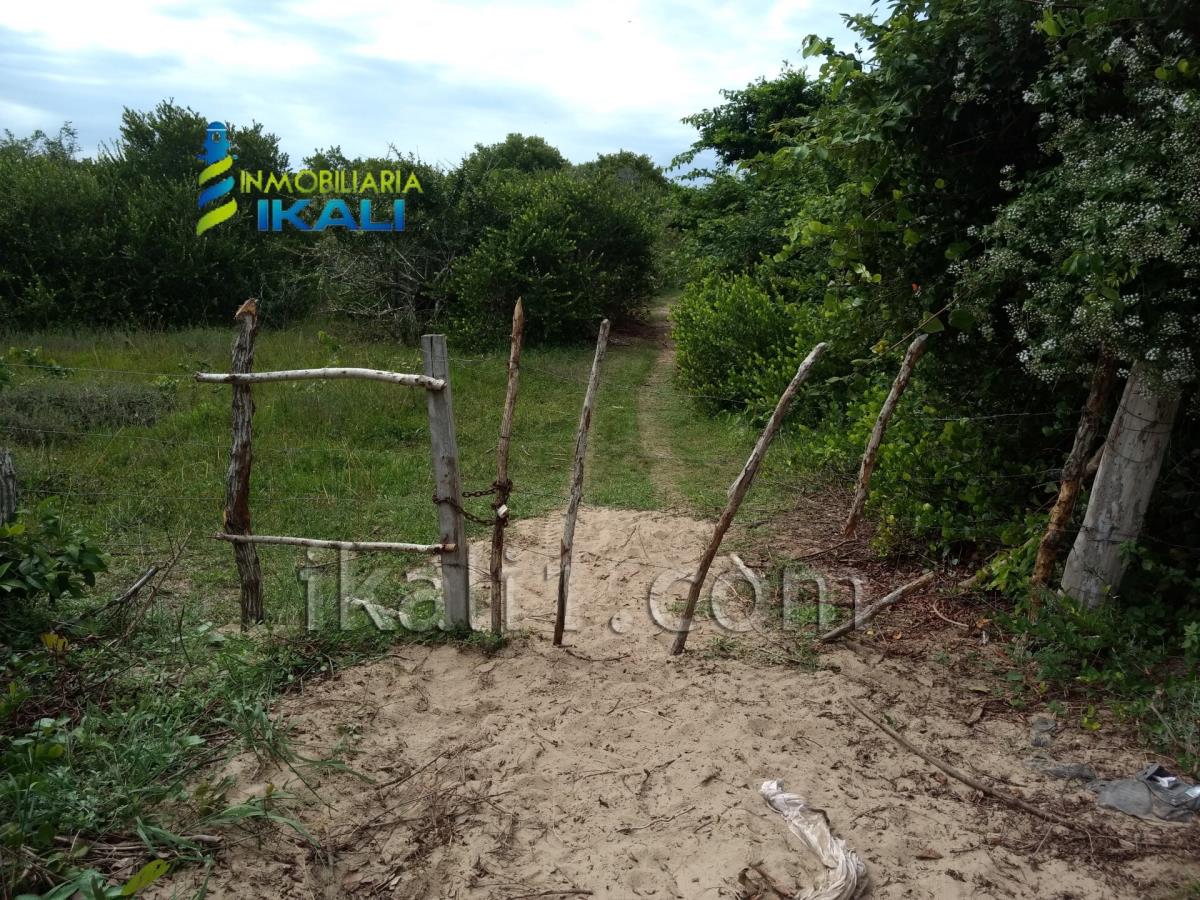 Terreno en venta en Palo Blanco, Tamiahua — foto 1 de 8