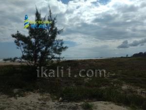 Terreno en venta en Palo Blanco, Tamiahua — foto 2 de 11
