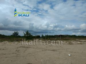 Terreno en venta en Palo Blanco, Tamiahua — foto 3 de 11
