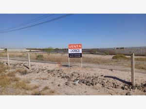 Terreno en venta en Parque Industrial Santa Rita, Gómez Palacio — foto 3 de 3