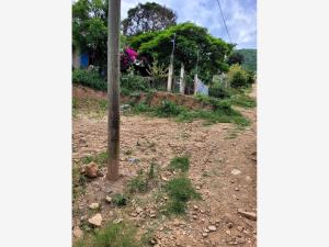 Terreno en venta en Los Angeles, Oaxaca de Juárez — foto 2 de 4