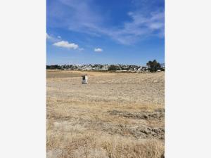 Terreno en venta en San Martin Cuautlalpan, Chalco — foto 3 de 4