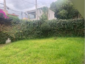 Casa en venta en Cantil del Pedregal, Coyoacán — foto 2 de 11