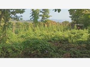 Terreno en venta en El Crucero, Santa María Huatulco — foto 3 de 4