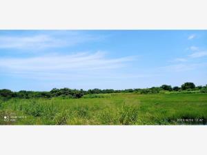 Terreno en venta en Delfino Victoria (santa Fe), Veracruz — foto 3 de 8