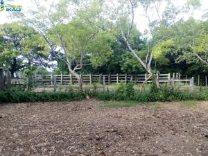 Terreno en venta en Tamiahua, Tamiahua — foto 2 de 12