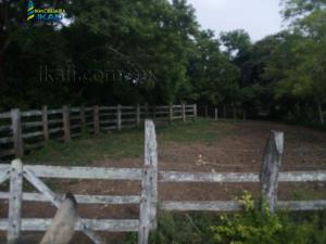 Terreno en venta en Tamiahua, Tamiahua — foto 3 de 12