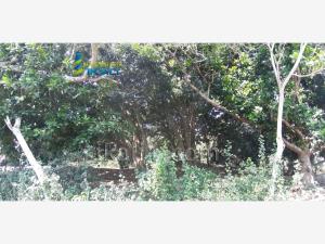 Terreno en venta en La Mata, Tuxpan — foto 2 de 10
