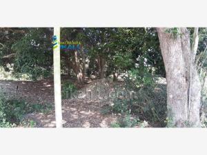 Terreno en venta en La Mata, Tuxpan — foto 3 de 10