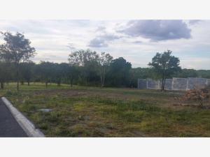 Terreno en venta en El Vergel, Allende — foto 2 de 11