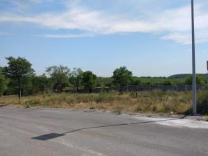Terreno en venta en El Vergel, Allende — foto 3 de 11