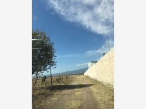 Terreno en venta en San Pedro Benito Juarez, Atlixco — foto 3 de 10