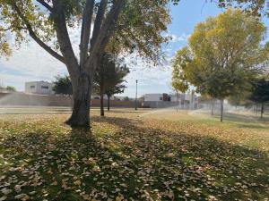 Terreno en venta en Las Villas, Torreón — foto 2 de 5
