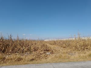 Terreno en venta en San Miguel Totocuitlapilco, Metepec — foto 3 de 3