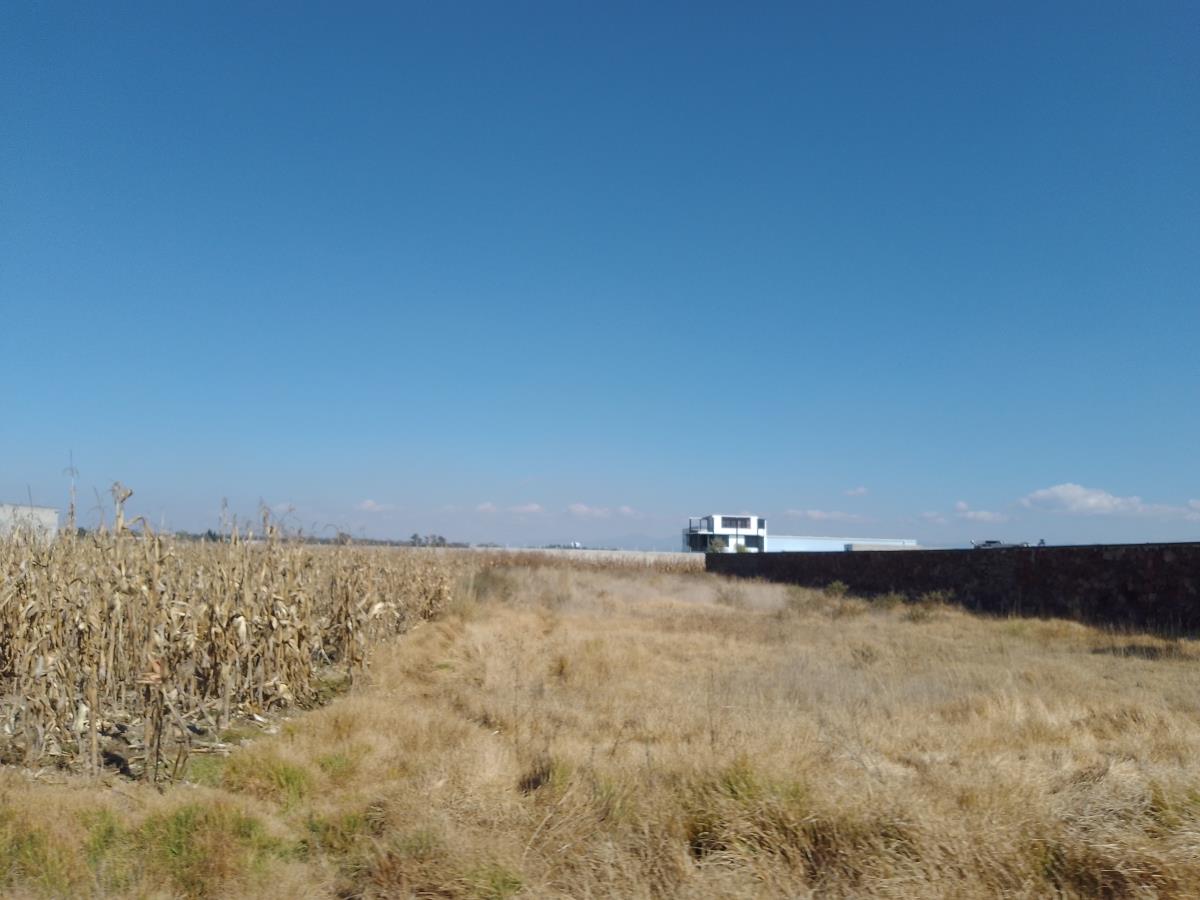 Terreno en venta en San Miguel Totocuitlapilco, Metepec — foto 1 de 3