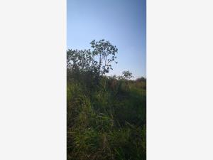 Terreno en venta en Villarin, Veracruz — foto 3 de 7