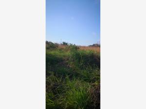 Terreno en venta en Villarin, Veracruz — foto 2 de 7