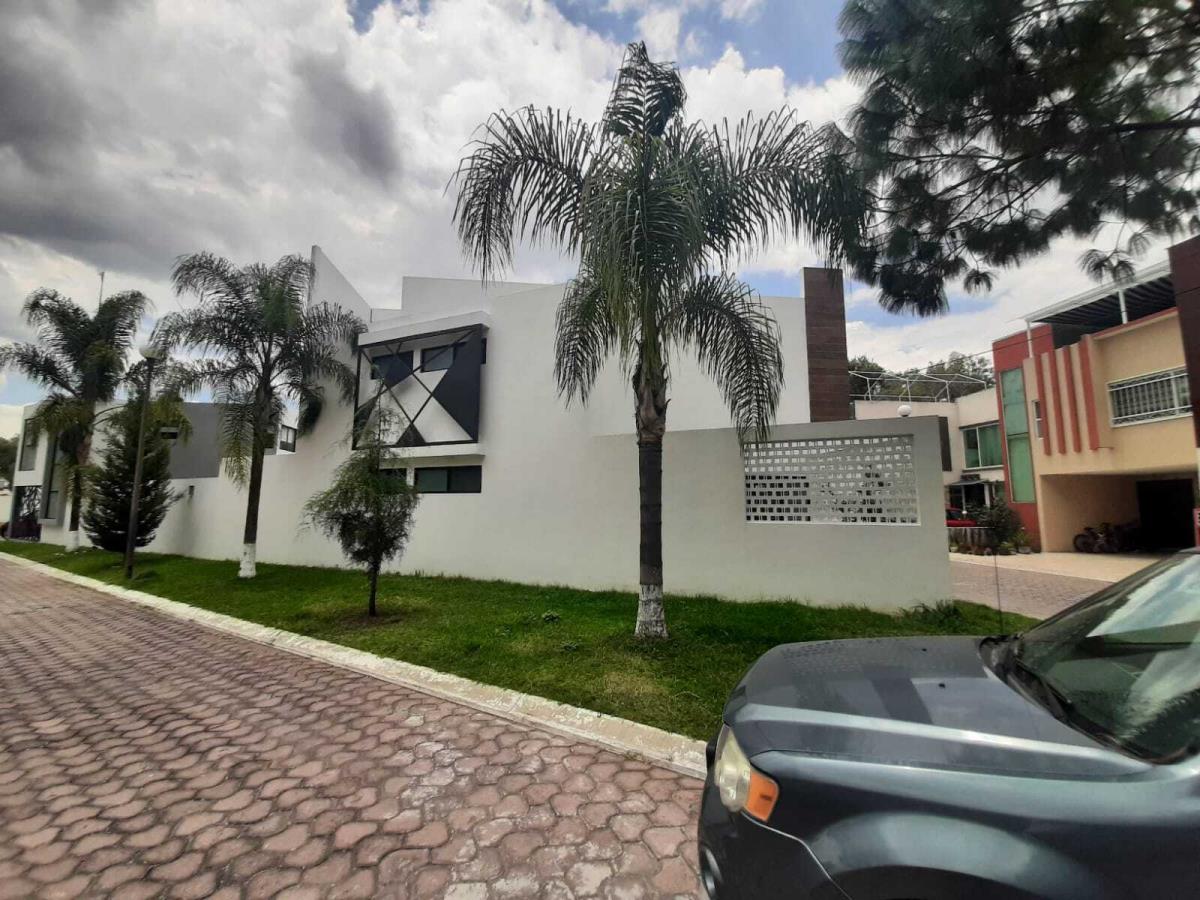Imagen 3
