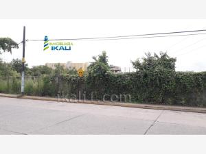 Terreno en venta en Plan de Ayala, Tihuatlán — foto 2 de 11