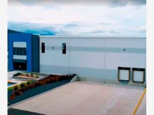 Nave en renta en Nuevo Celaya, Celaya — foto 3 de 4