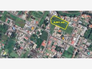 Terreno en venta en Sector Panohaya, Amecameca — foto 3 de 4