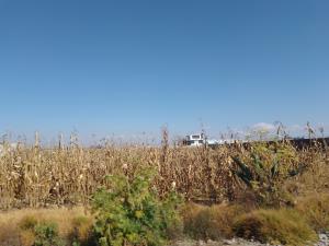 Terreno en venta en San Miguel Totocuitlapilco, Metepec — foto 3 de 3
