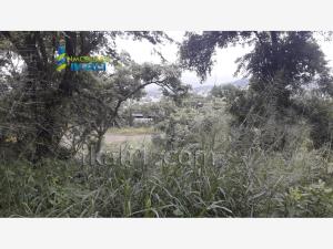 Terreno en venta en Anahuac, Poza Rica de Hidalgo — foto 2 de 12