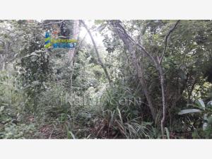 Terreno en venta en Anahuac, Poza Rica de Hidalgo — foto 3 de 12
