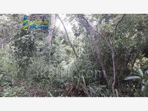 Terreno en venta en Loma Alta, Poza Rica de Hidalgo — foto 3 de 14