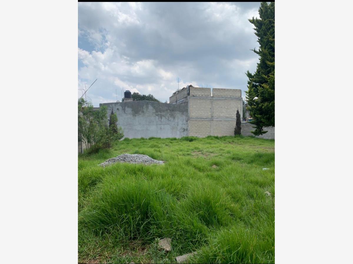 Terreno en venta en San Antonio el Llanito, Ocoyoacac — foto 1 de 3