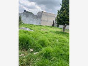 Terreno en venta en San Antonio el Llanito, Ocoyoacac — foto 2 de 3