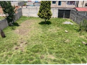 Terreno en venta en San Antonio el Llanito, Ocoyoacac — foto 3 de 3